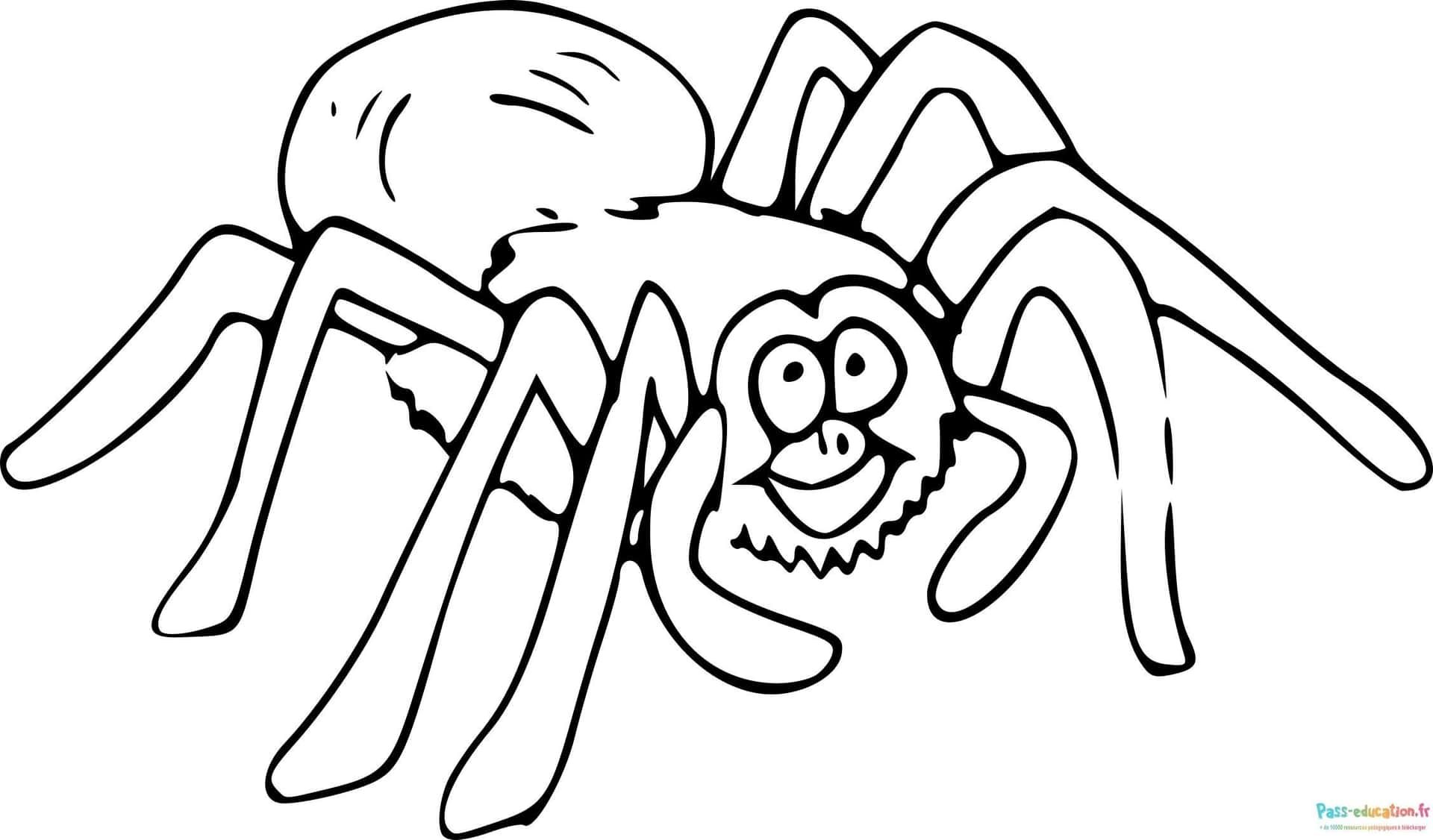 Coloriage Araignée souriante à imprimer et colorier