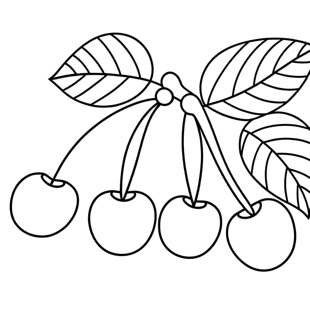 Coloriage Cerises à imprimer et colorier