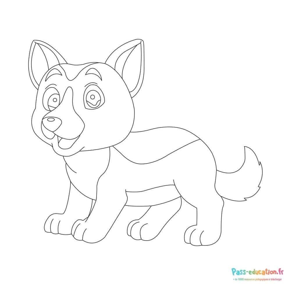 Coloriage Chiot souriant à imprimer et colorier