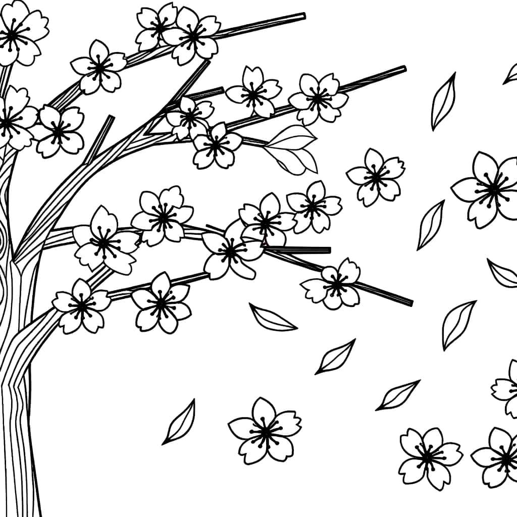 Coloriage Cerisier du Japon à imprimer et colorier