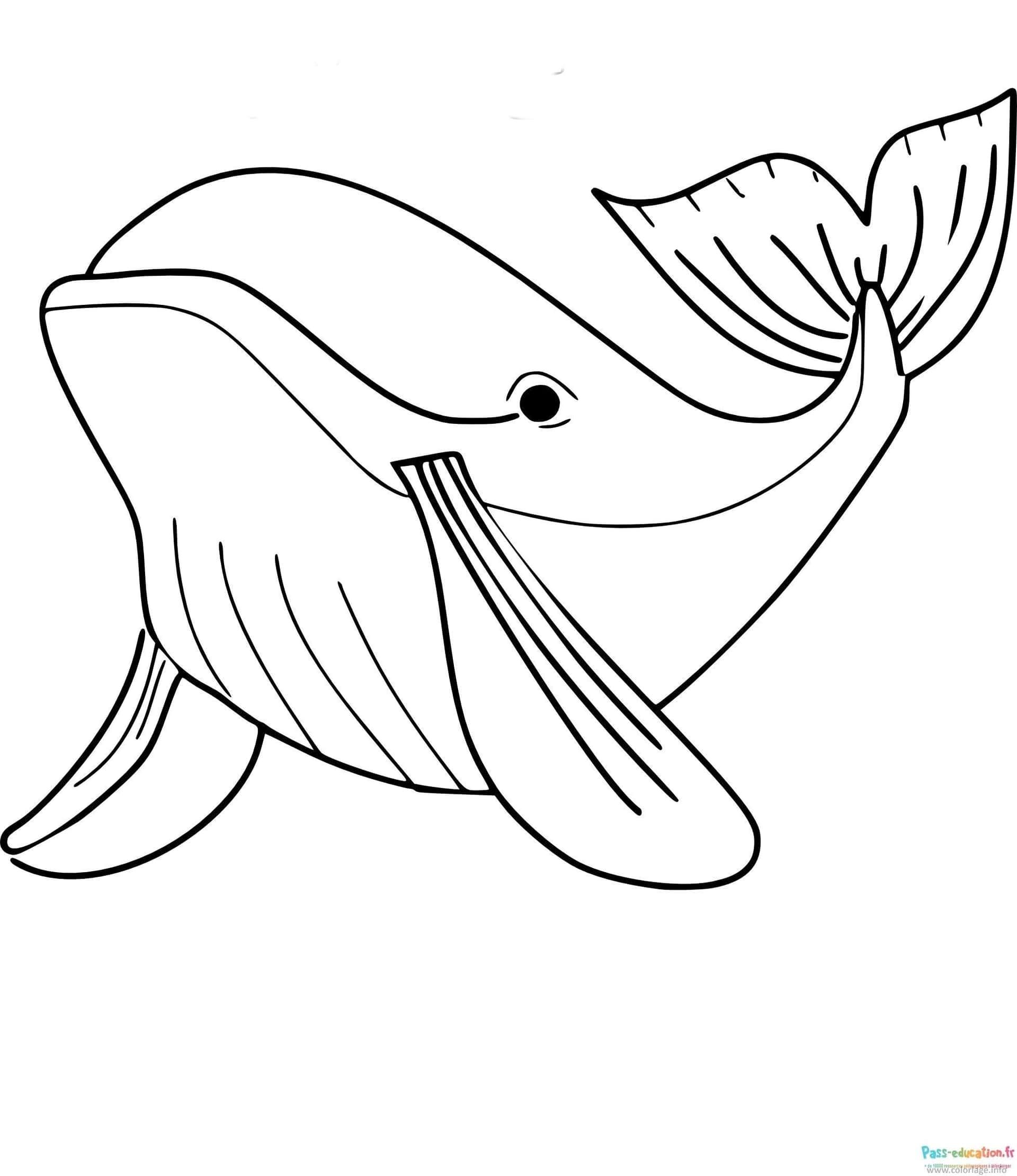 Coloriage Baleine souriante à imprimer et colorier