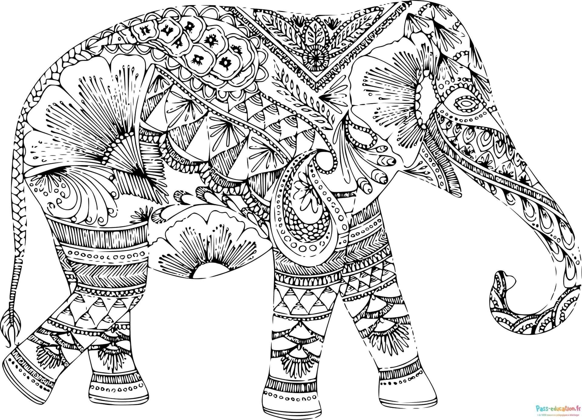 Coloriage Éléphant mandala à imprimer et colorier
