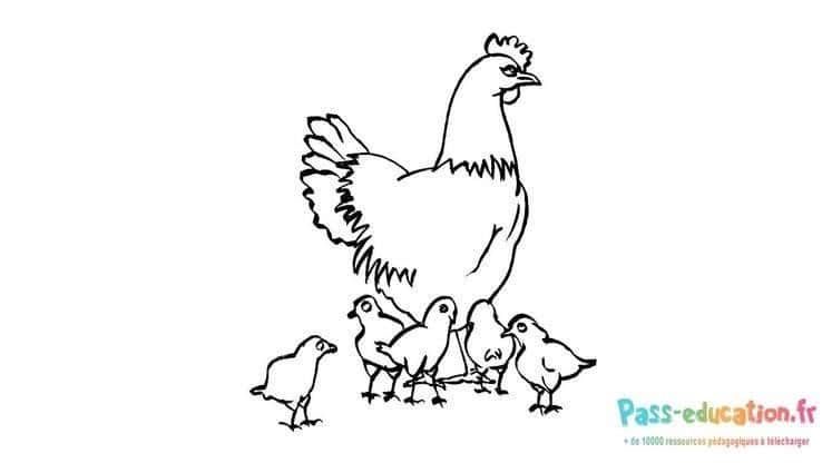 Coloriage Poule et poussins à imprimer et colorier