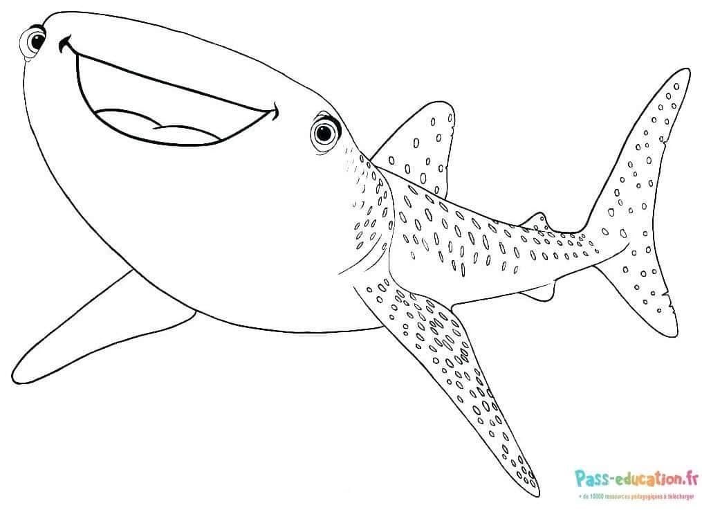 Coloriage Requin souriant à imprimer et colorier