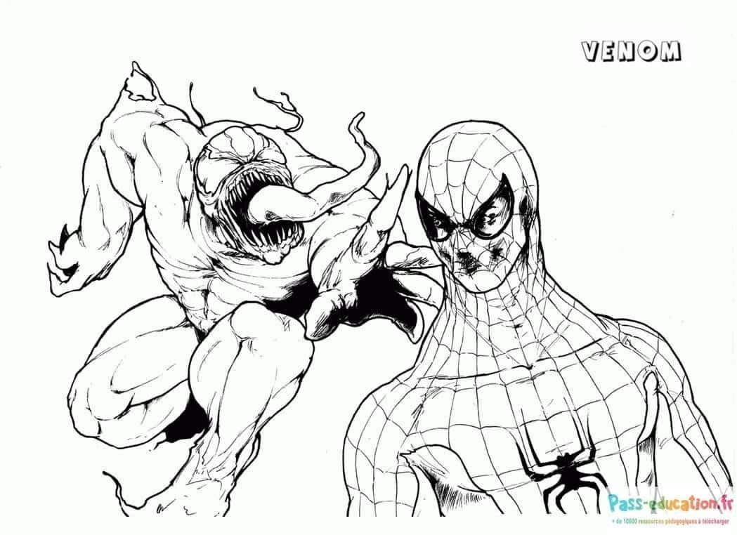 Coloriage Venom contre Spider-Man à imprimer et colorier