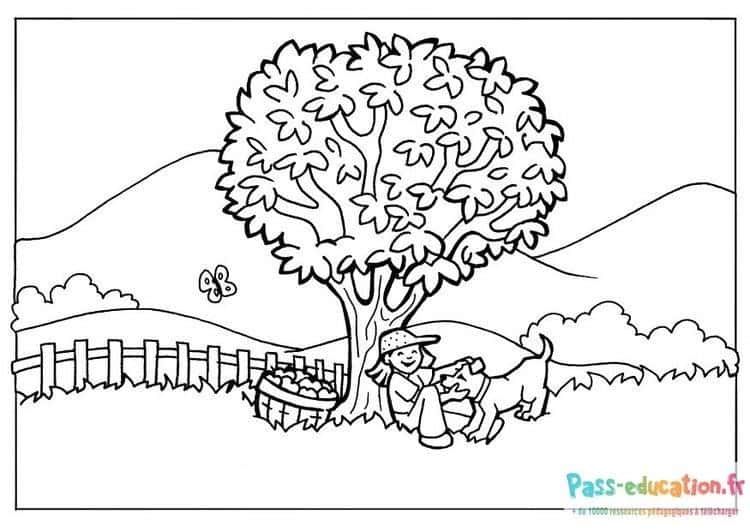 Coloriage Paysage champêtre à imprimer et colorier