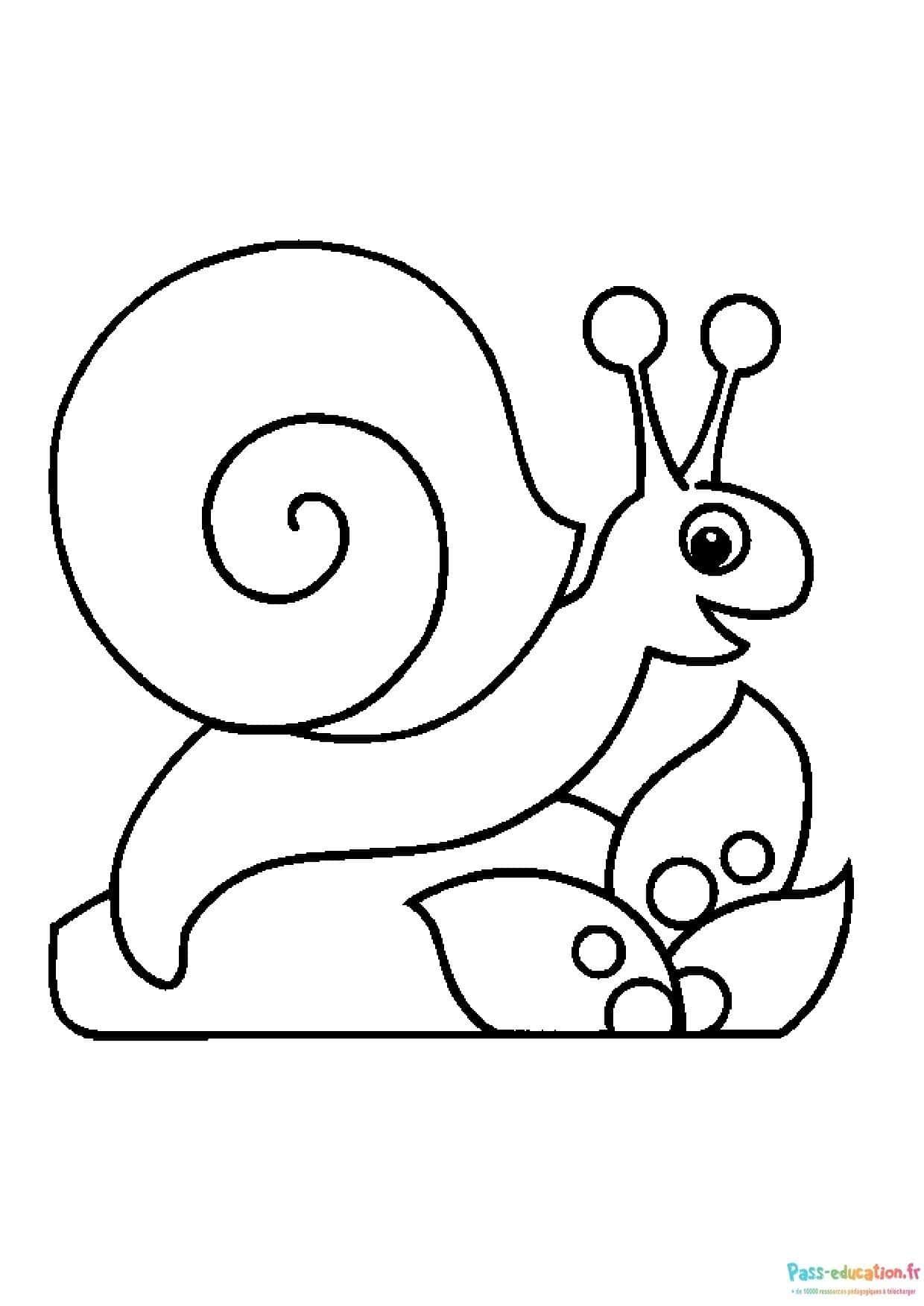 Coloriage Escargot et feuilles à imprimer et colorier