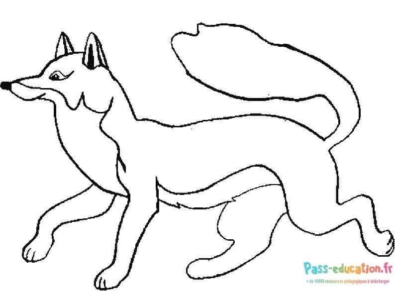 Coloriage Renard agile à imprimer et colorier