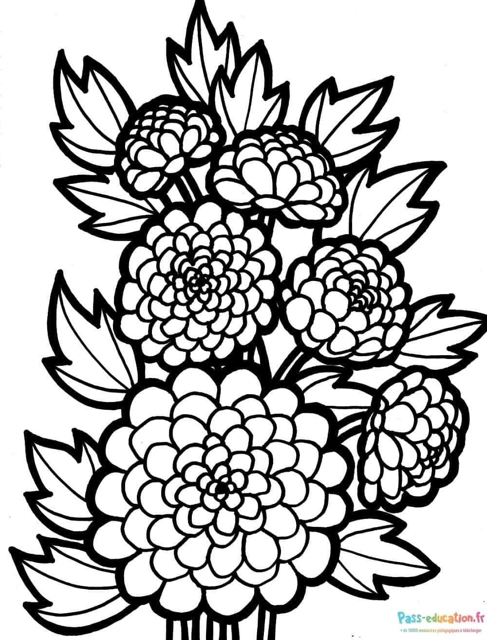 Coloriage Bouquet de dahlias à imprimer et colorier