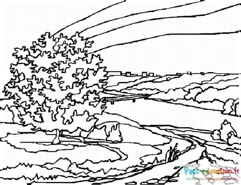 Coloriage Arbre venté à imprimer et colorier
