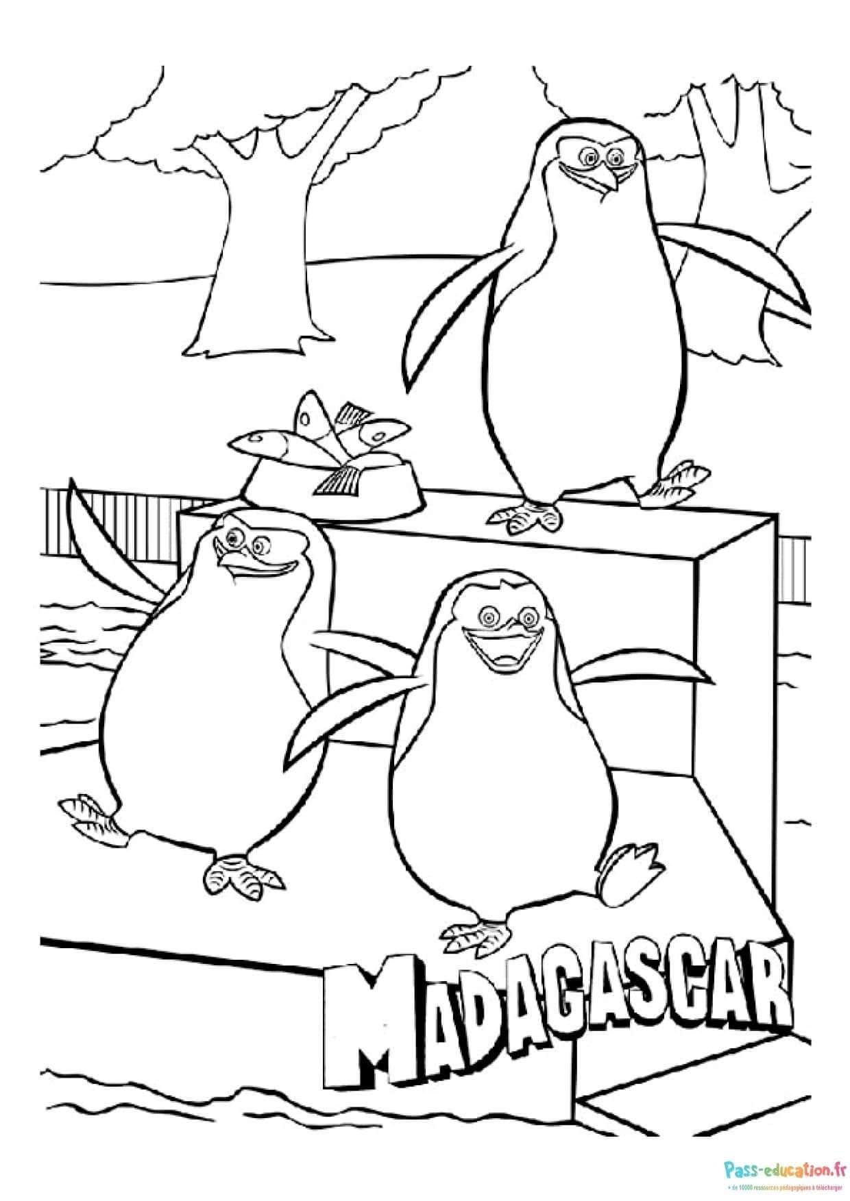 Coloriage Pingouins de Madagascar à imprimer et colorier