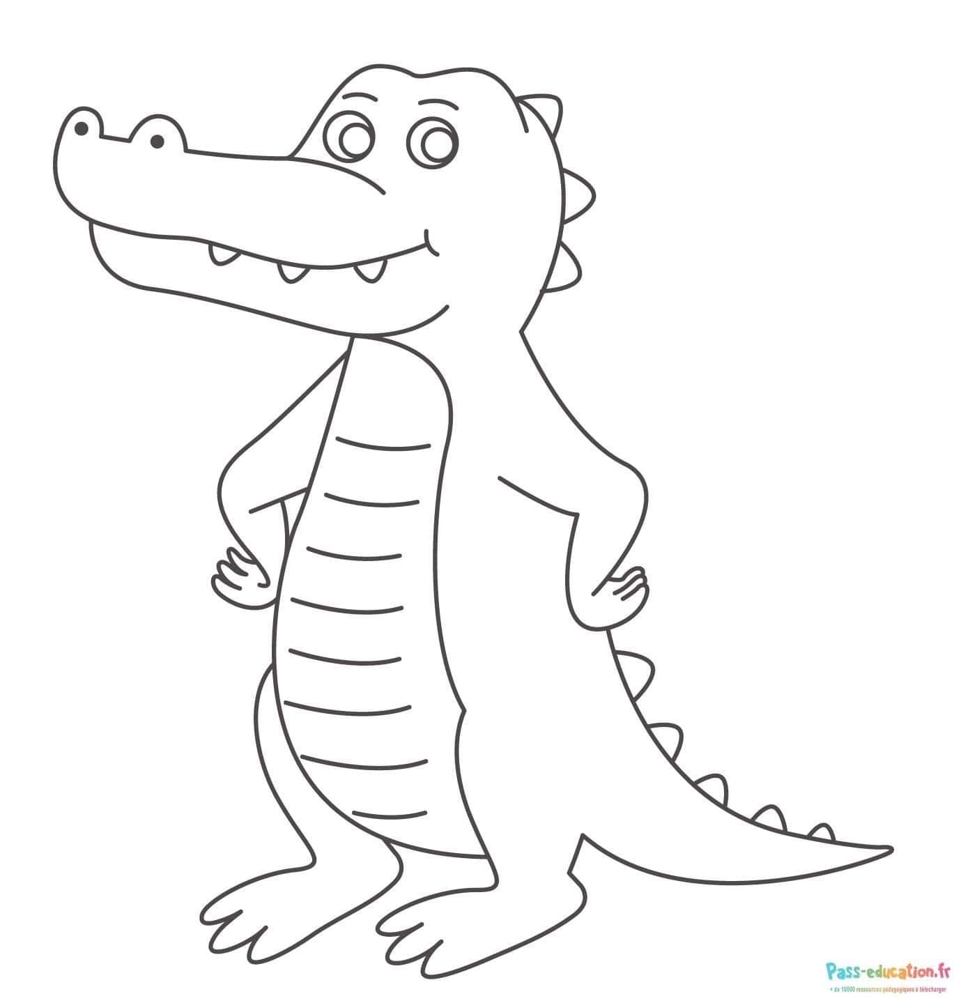 Coloriage Crocodile debout à imprimer et colorier