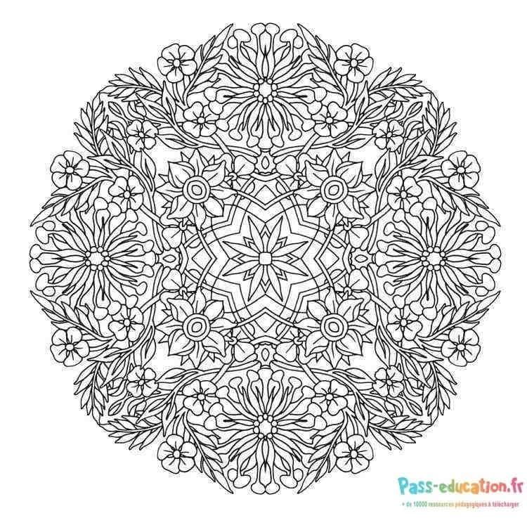 Coloriage Mandala floral complexe à imprimer et colorier