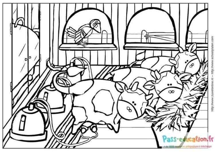 Coloriage Etable avec vaches à imprimer et colorier