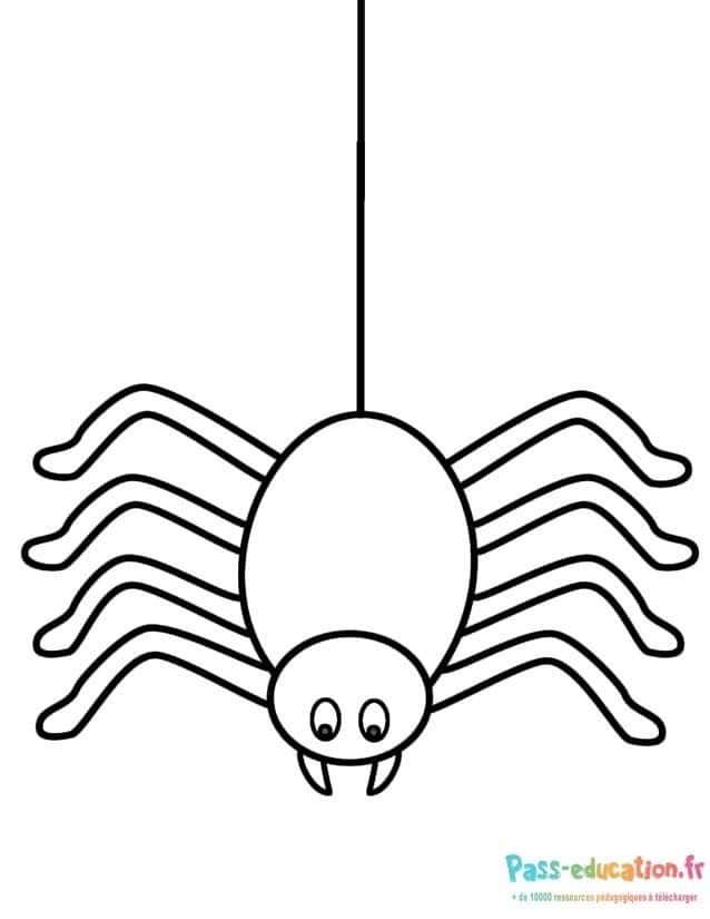 Coloriage Araignée suspendue à imprimer et colorier