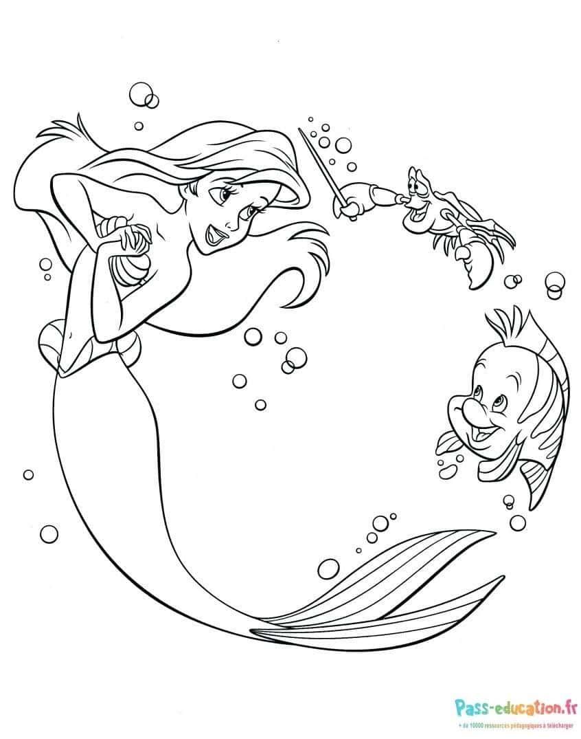 Coloriage Ariel et ses amis à imprimer et colorier