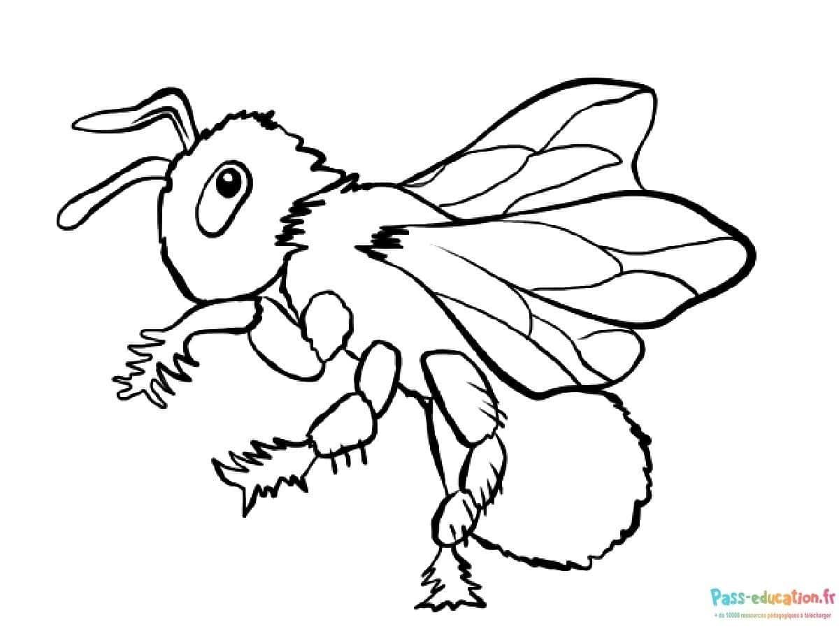 Coloriage Abeille volante à imprimer et colorier