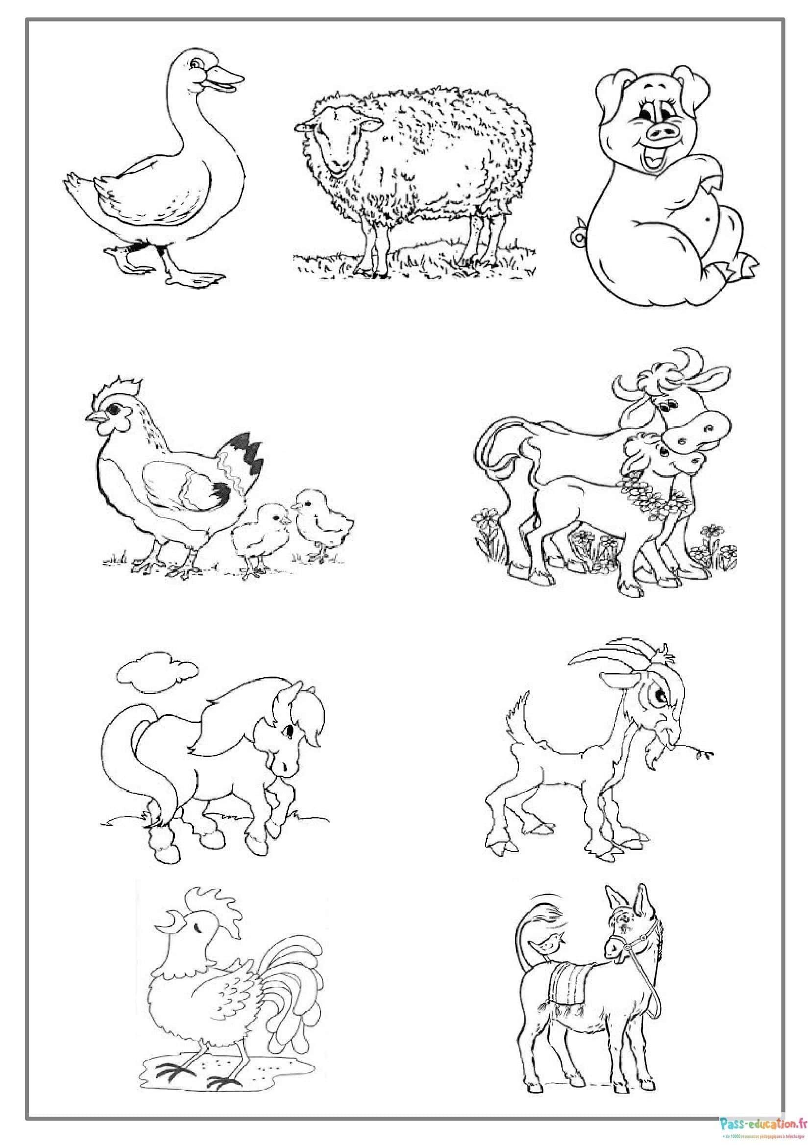 Coloriage Animaux de ferme à imprimer et colorier