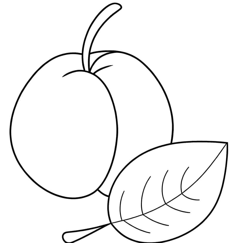 Coloriage Abricot avec feuille à imprimer et colorier