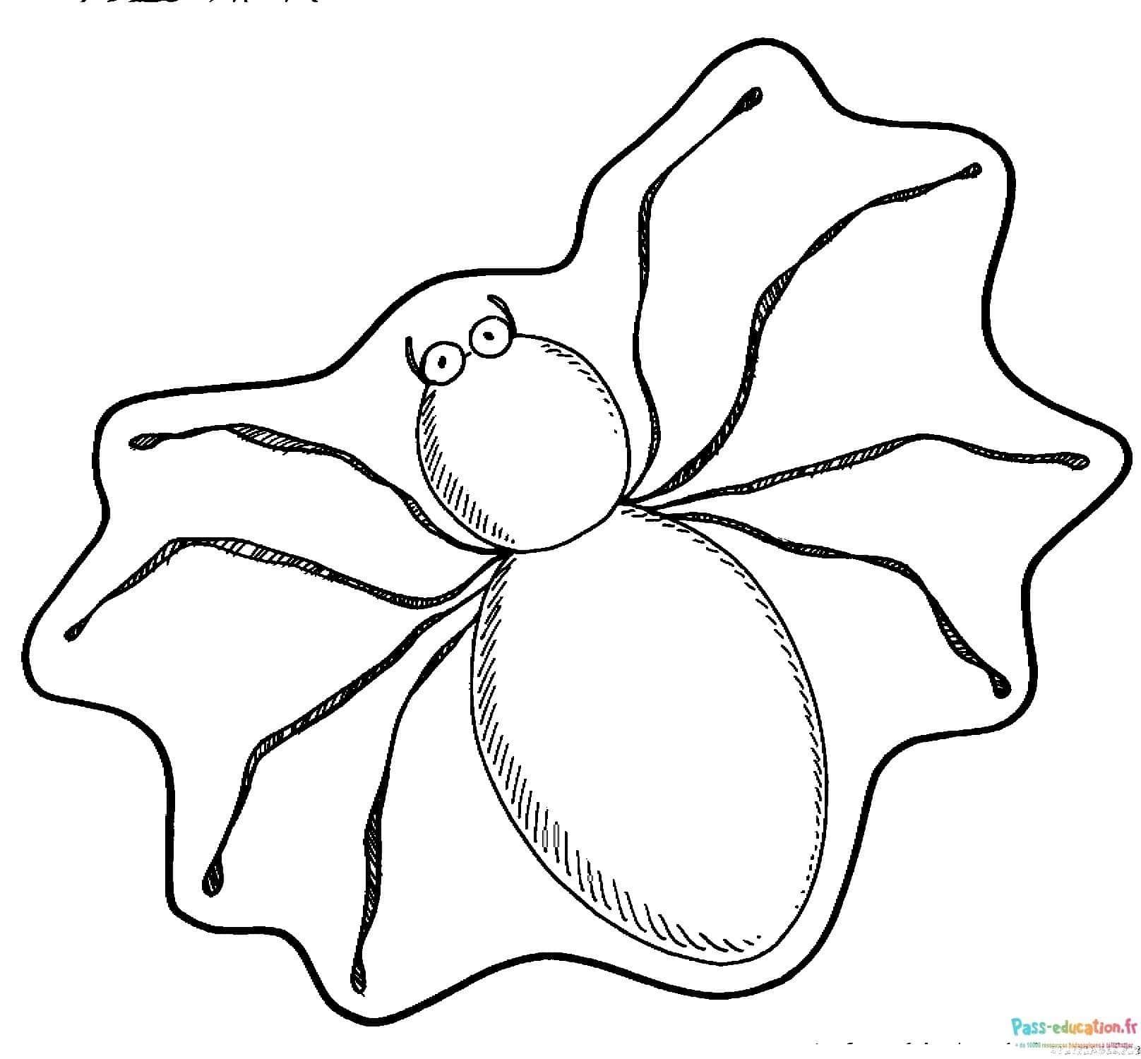 Coloriage Araignée rigolote à imprimer et colorier