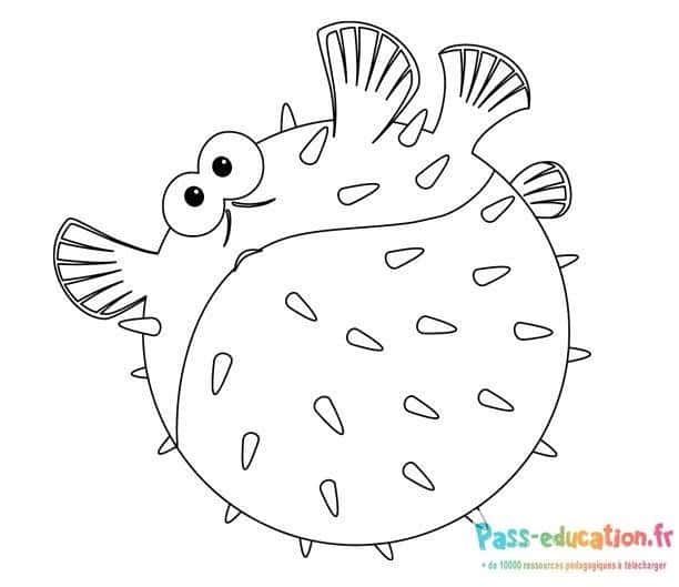Coloriage Poisson gonflé à imprimer et colorier