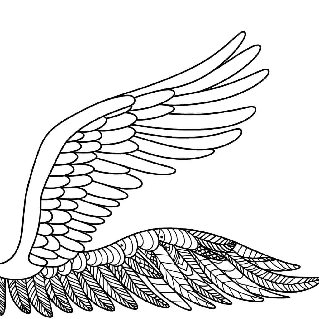 Coloriage Aile d'ange à imprimer et colorier