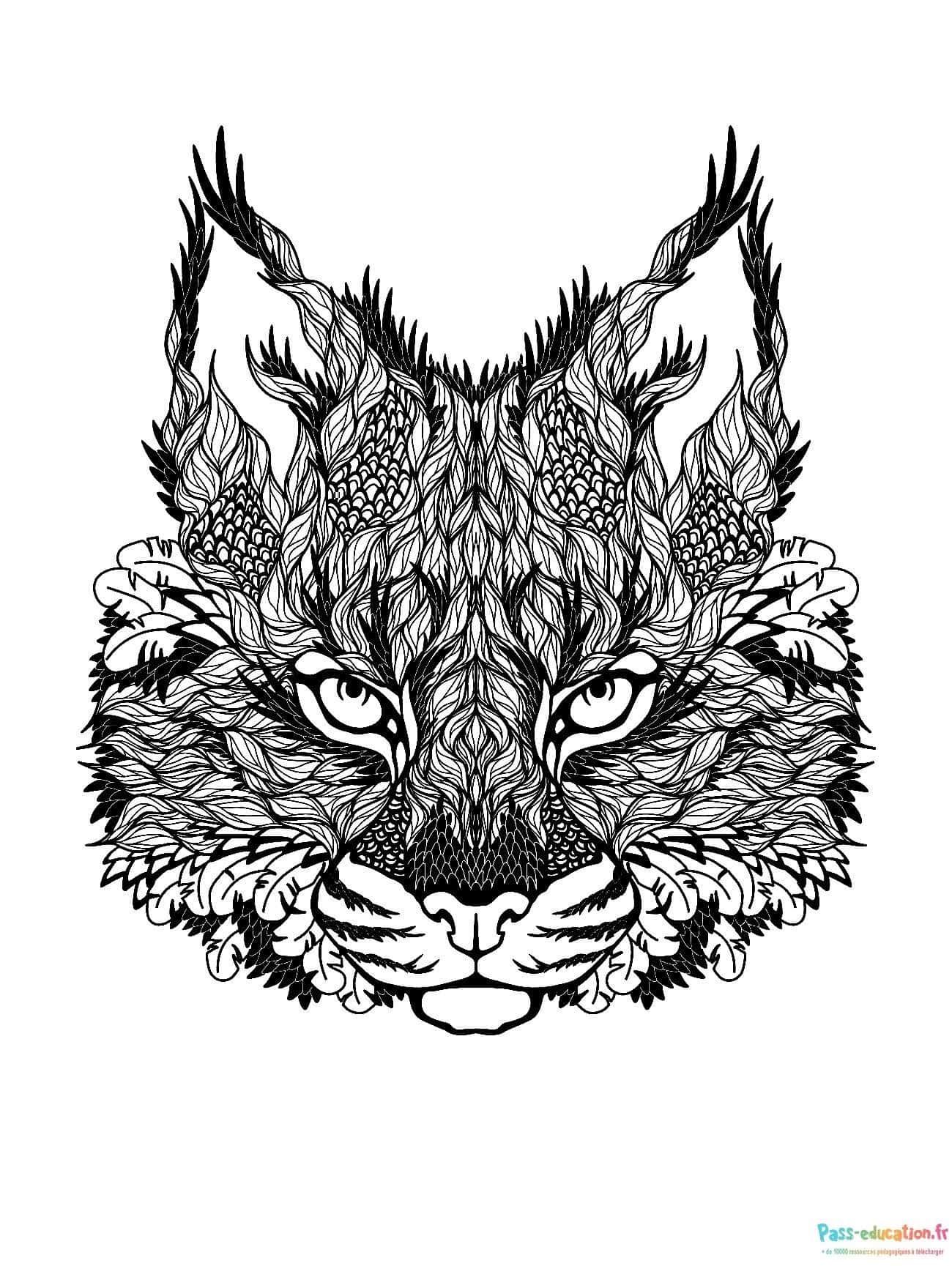 Coloriage Visage de lynx à imprimer et colorier