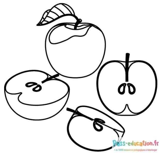 Coloriage Pommes variées à imprimer et colorier
