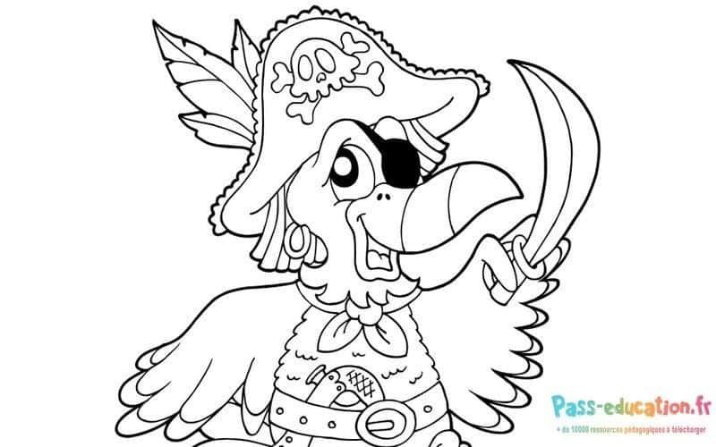 Coloriage Perroquet pirate à imprimer et colorier