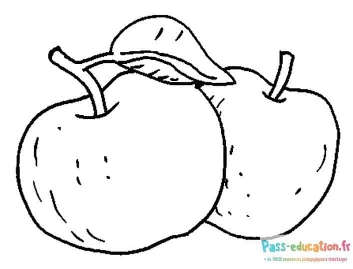 Coloriage Pommes jumelles à imprimer et colorier