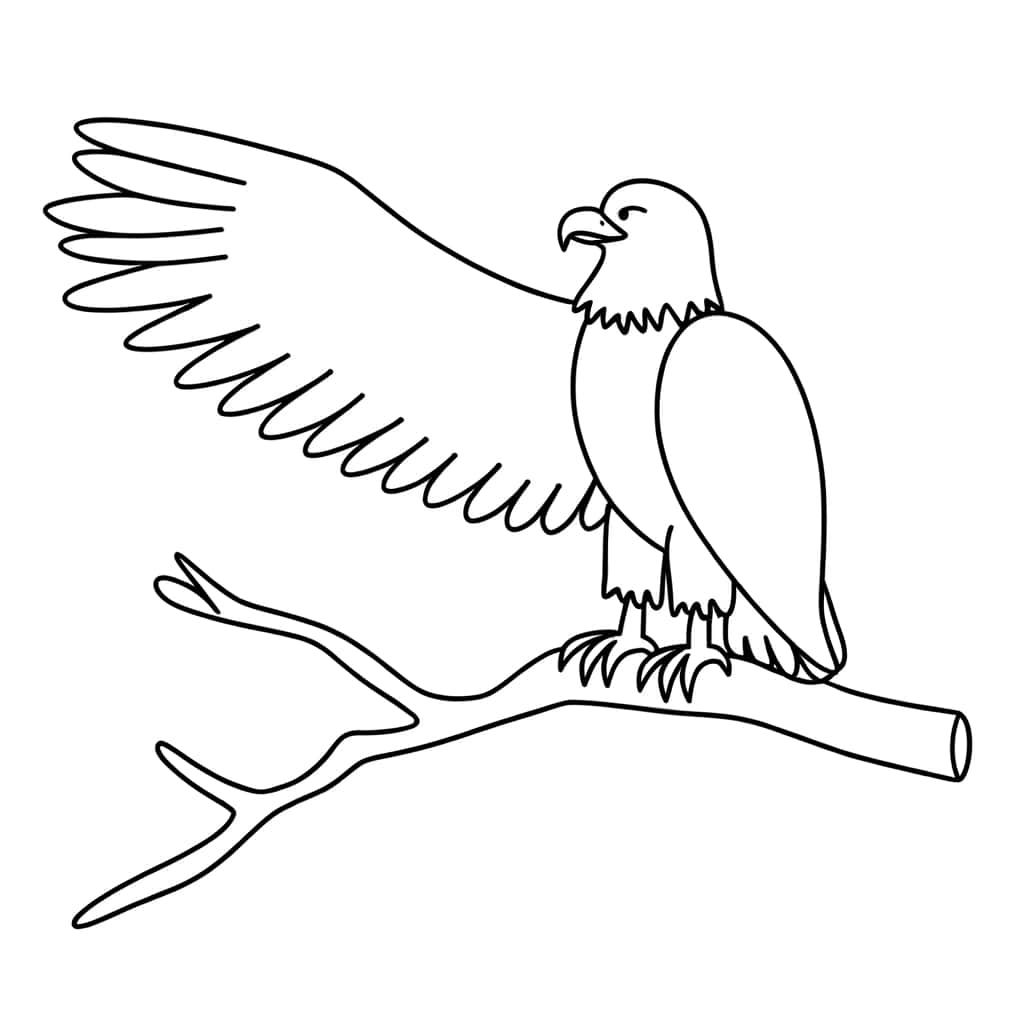 Coloriage Aigle sur branche à imprimer et colorier
