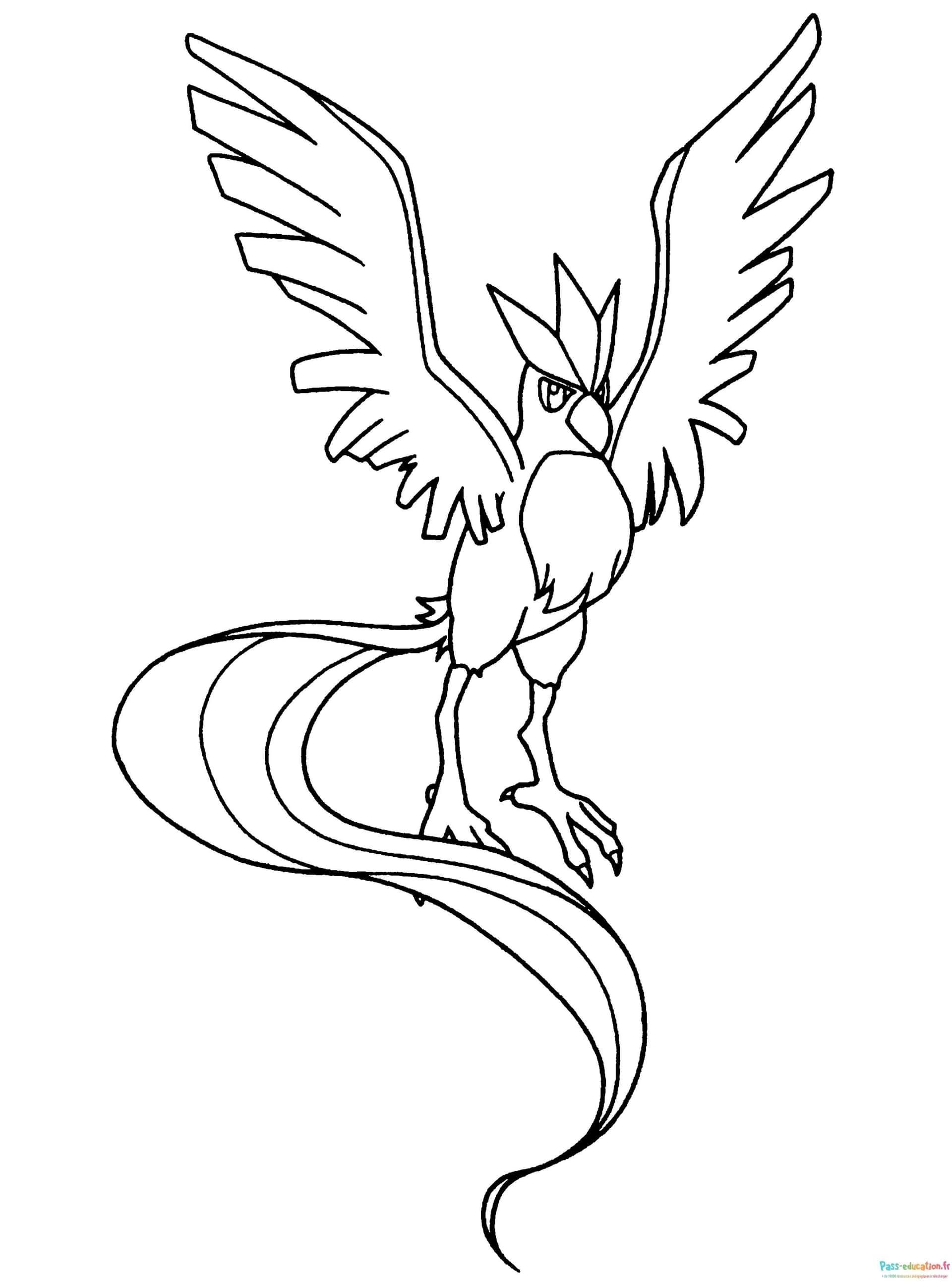 Coloriage Articuno Pokémon à imprimer et colorier