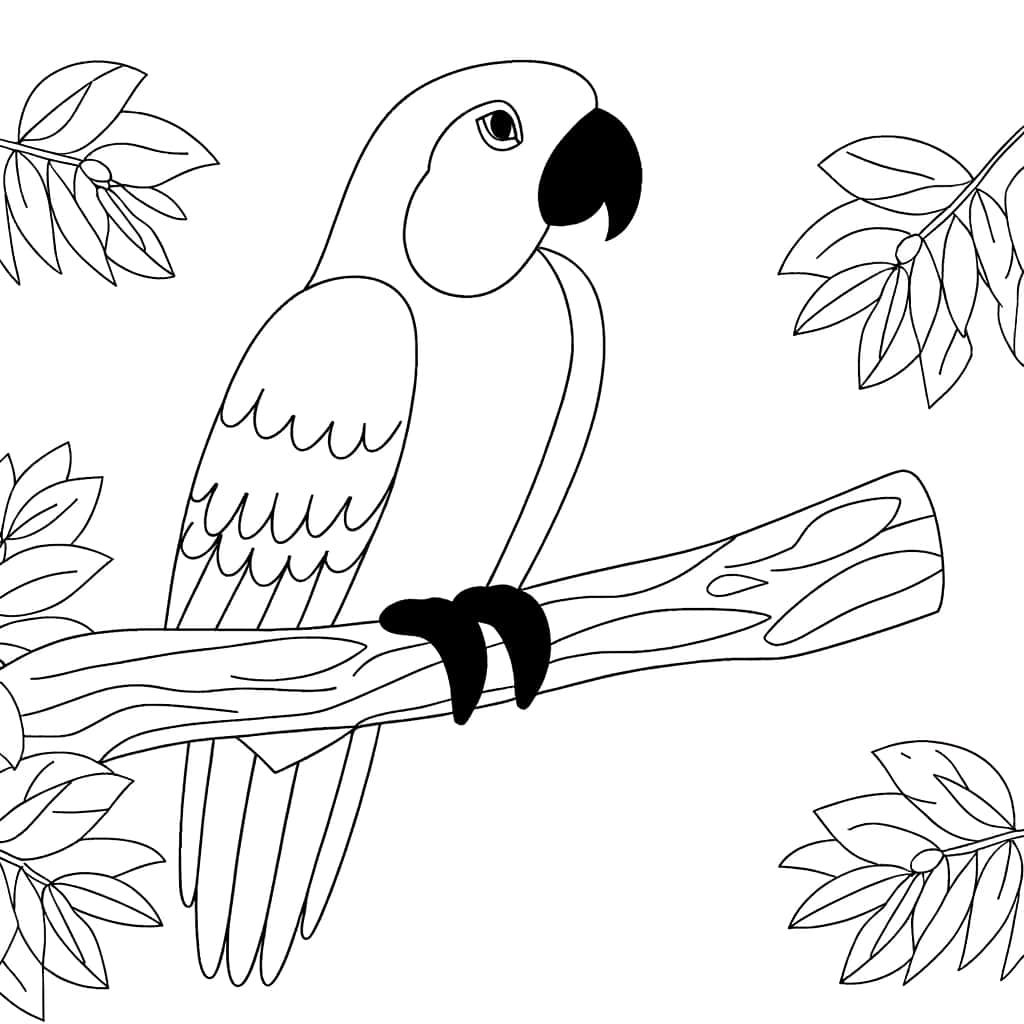 Coloriage Perroquet sur branche à imprimer et colorier