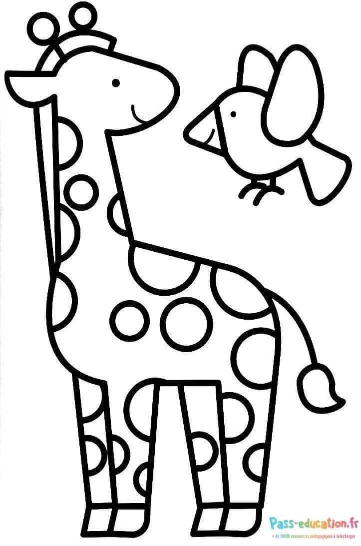 Coloriage Girafe et oiseau à imprimer et colorier