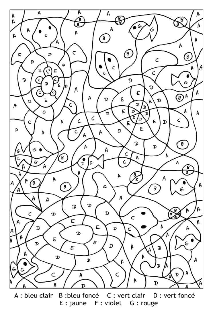 Coloriage Animaux marins colorés à imprimer et colorier