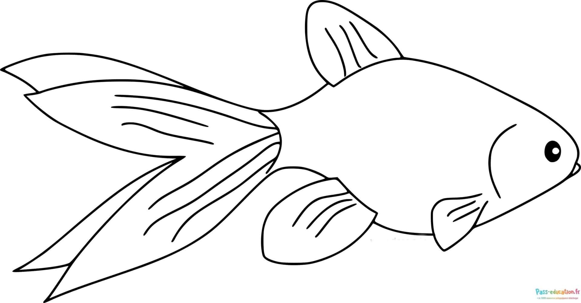 Coloriage Poisson joyeux à imprimer et colorier