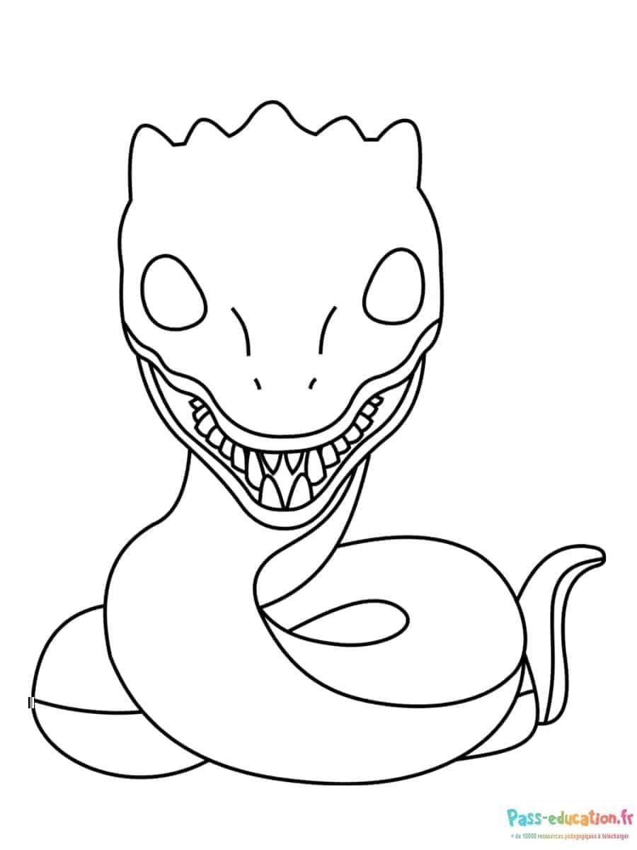 Coloriage Serpent magique à imprimer et colorier