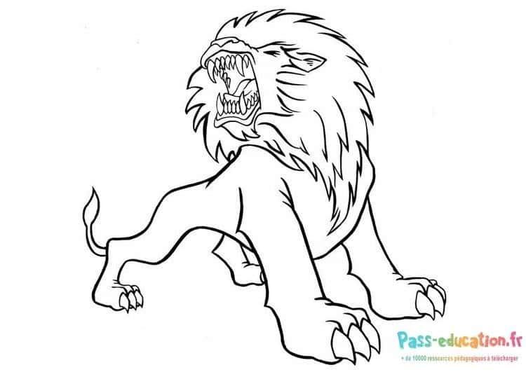 Coloriage Lion rugissant à imprimer et colorier