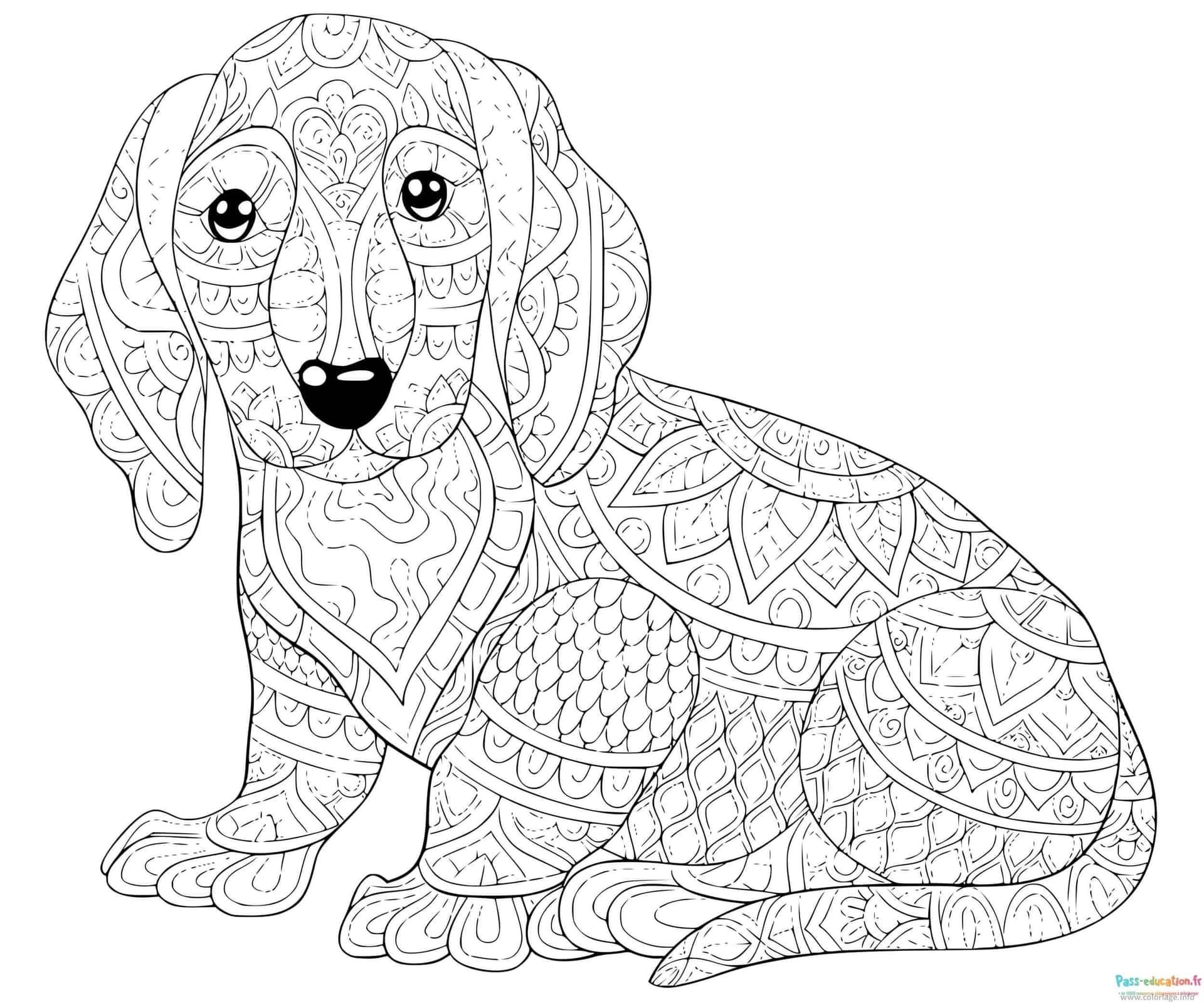 Coloriage Chiot mandala à imprimer et colorier
