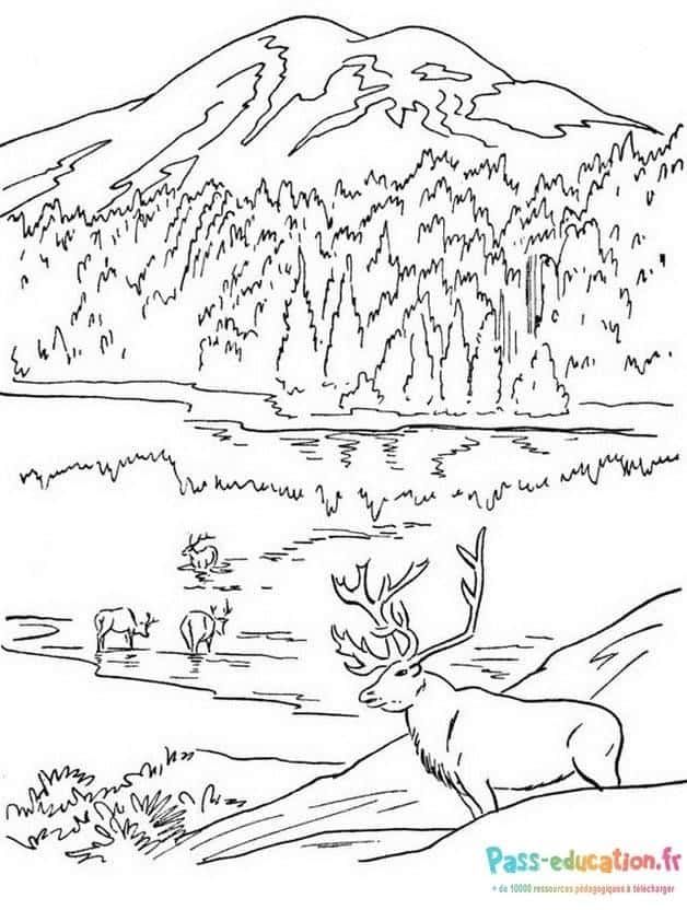 Coloriage Paysage montagnard à imprimer et colorier