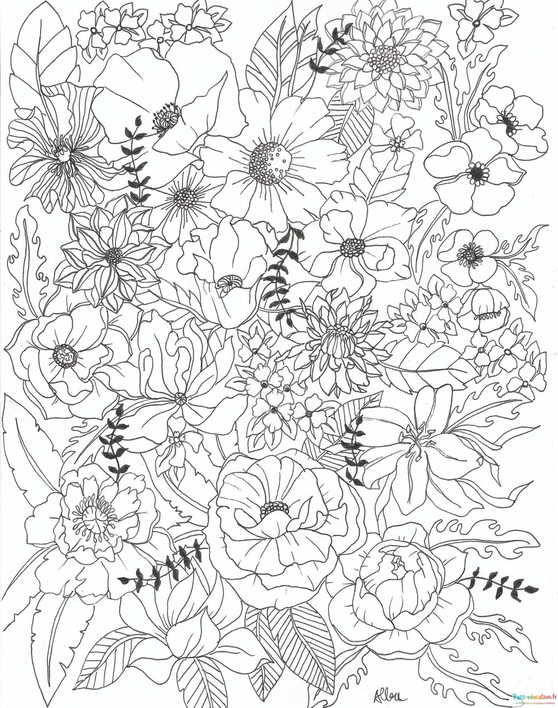 Coloriage Jardin floral à imprimer et colorier