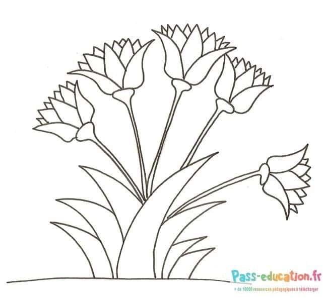 Coloriage Bouquet de fleurs à imprimer et colorier