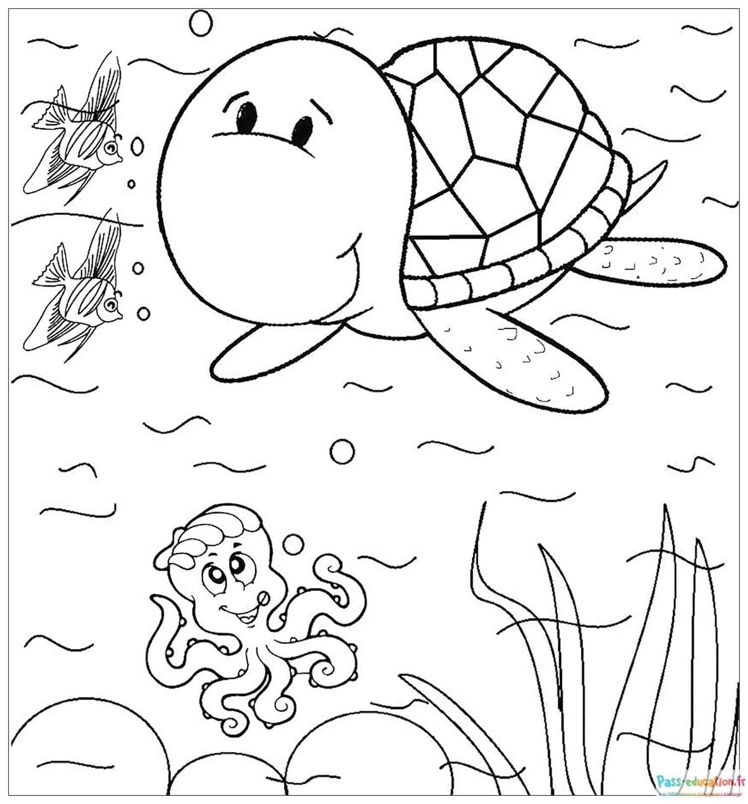 Coloriage Tortue et amis marins à imprimer et colorier