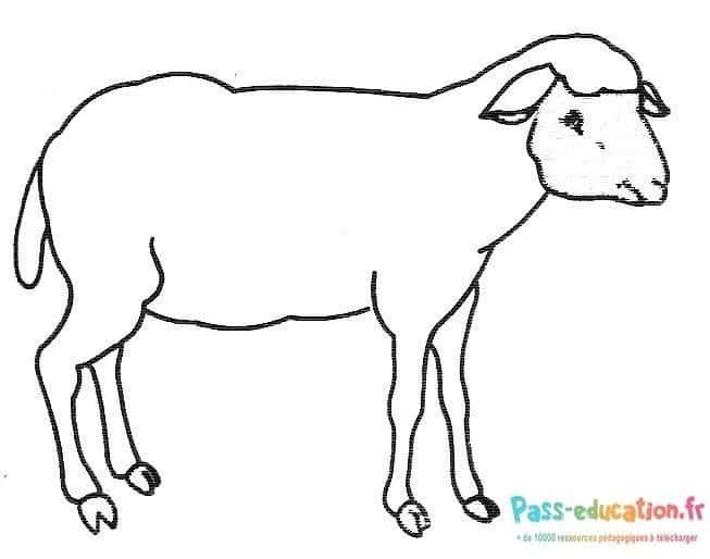 Coloriage Mouton à colorier à imprimer et colorier