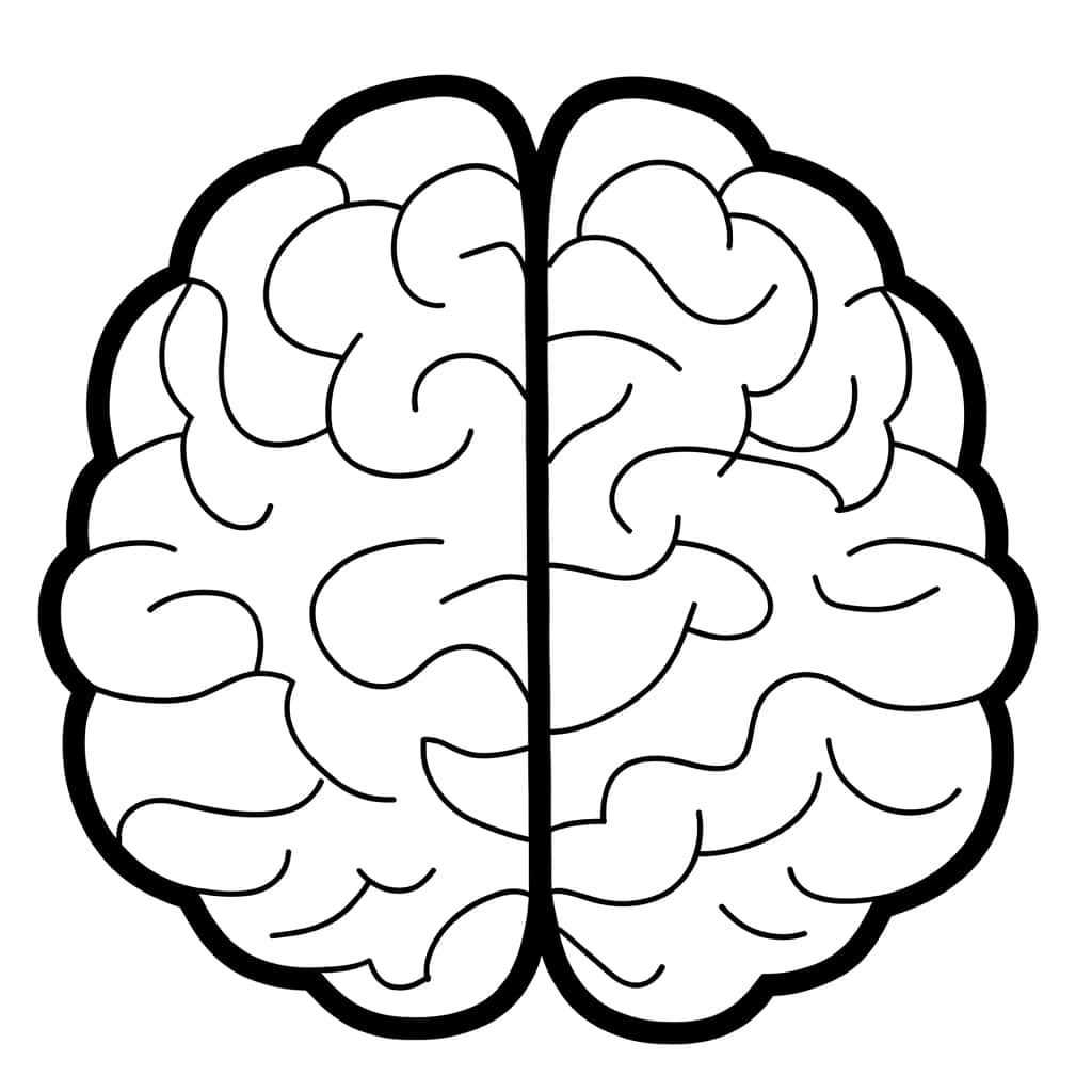 Coloriage Cerveau à imprimer et colorier