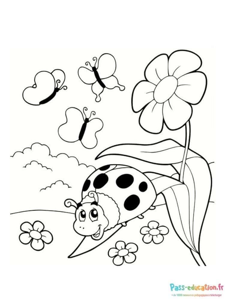 Coloriage Coccinelle et papillons à imprimer et colorier