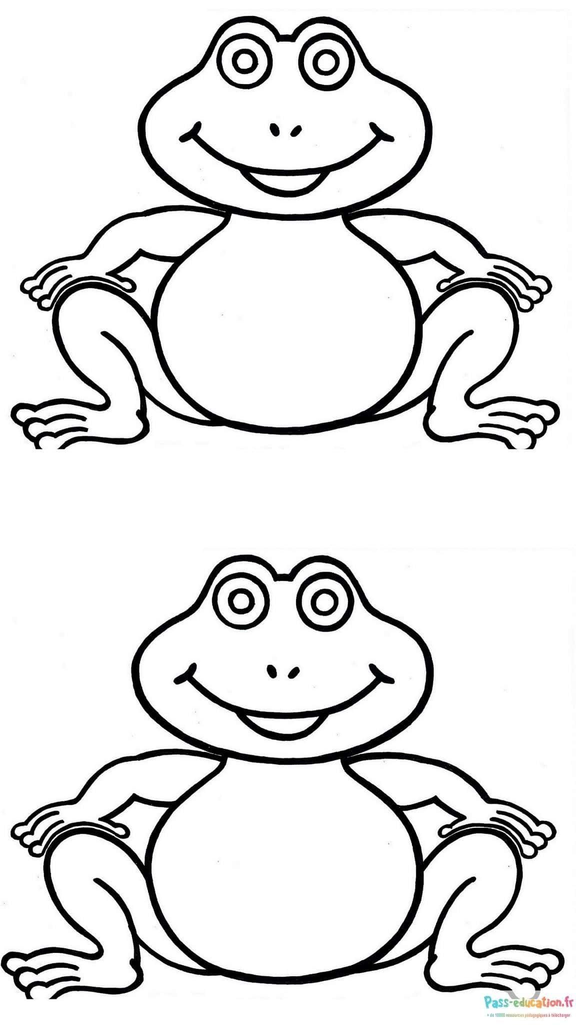 Coloriage Grenouilles souriantes à imprimer et colorier