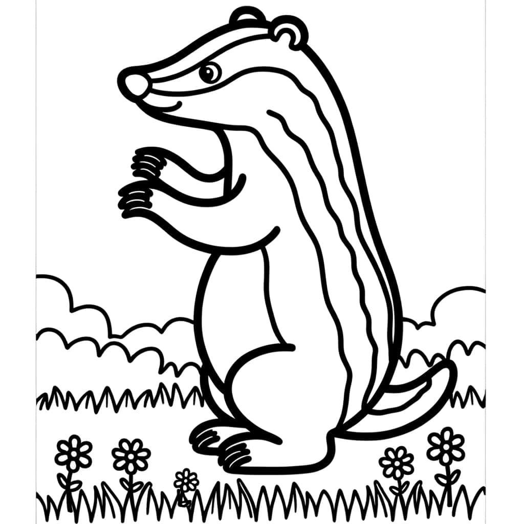 Coloriage Blaireau debout à imprimer et colorier