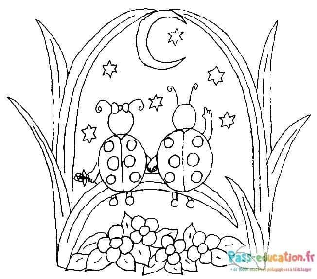 Coloriage Coccinelles nocturnes à imprimer et colorier