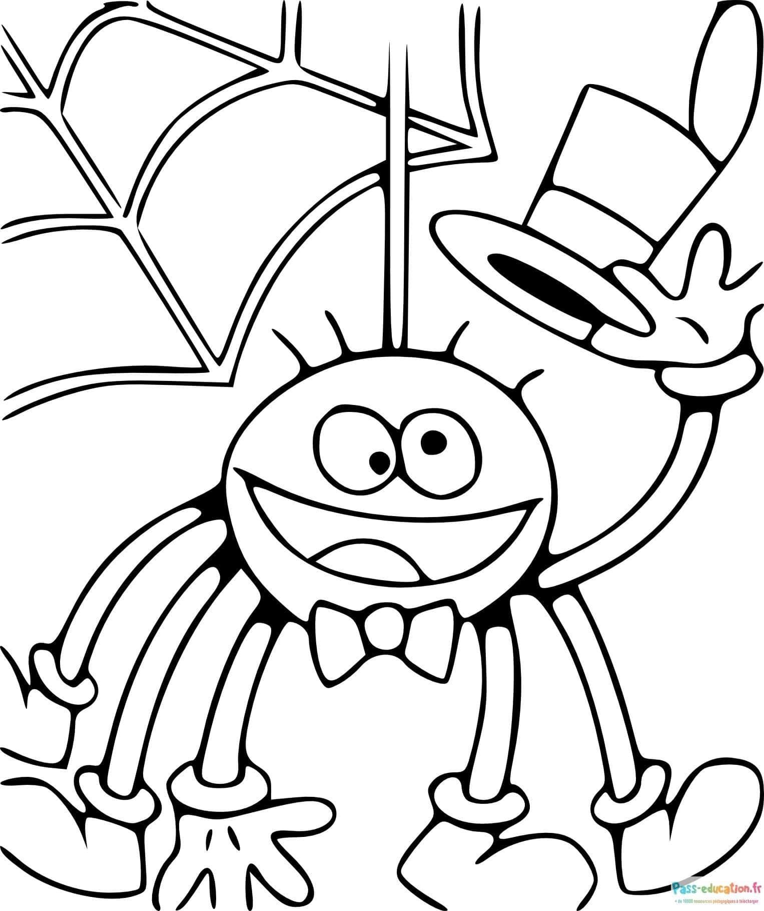 Coloriage Araignée élégante à imprimer et colorier